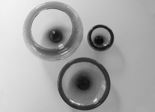Schalen von P. Lütken Schalen von P. Lütken