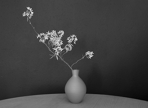 Terracotta Vase aus 1950er Jahren