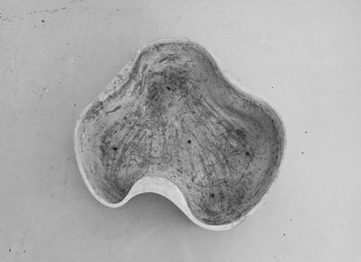 Nierenförmige Eternit-Schale
